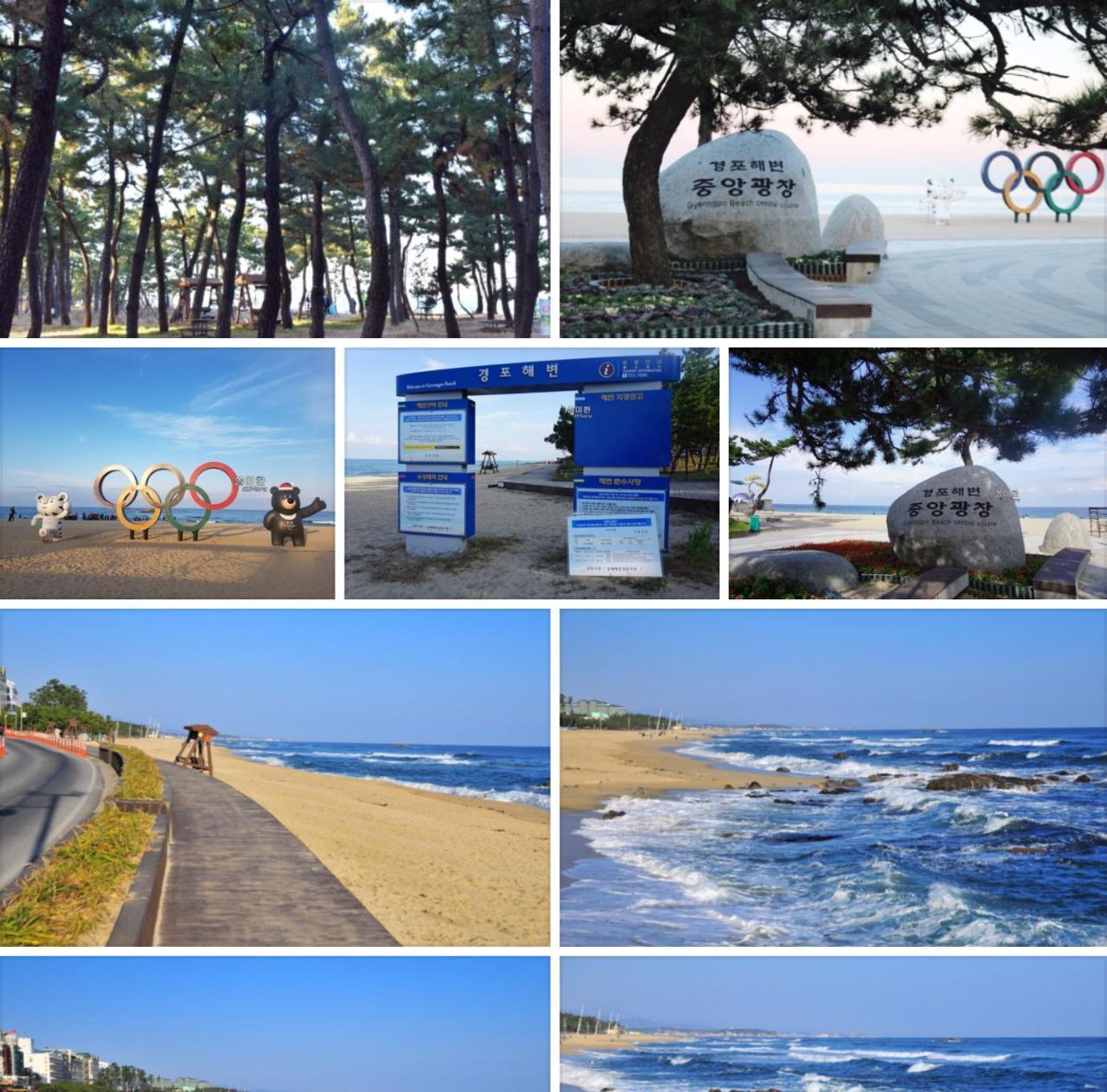 Aark House * Gangneung